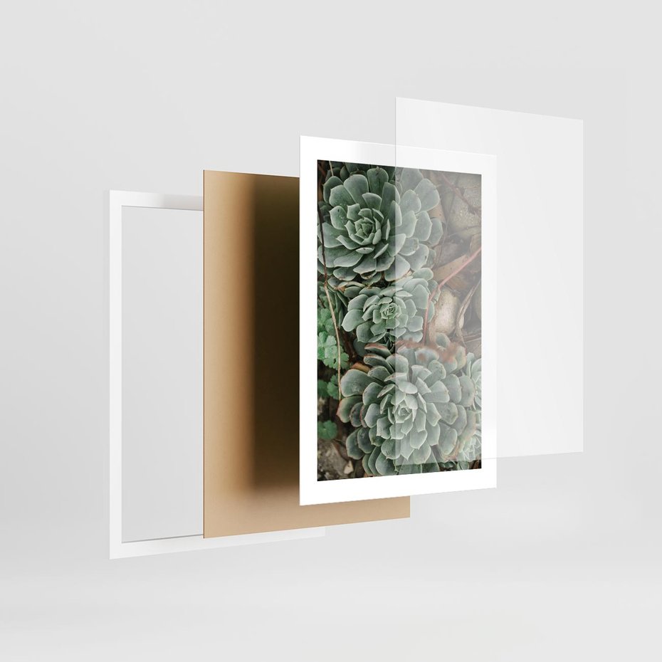 Plakat w ramie 30x40 - Zielona Uroda Sukulentów - sukulenty, zielone liście - rama biała