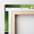 Obraz na płótnie 30x30 - Ukojenie kamieni w SPA - kamienie, SPA