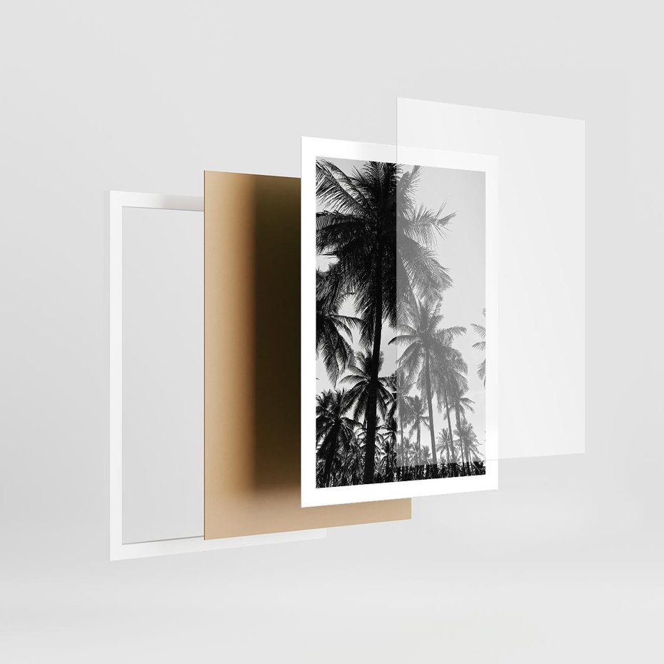 Plakat w ramie 50x70 - Mono Tropiki - palmy, drzewa palmowe - rama biała