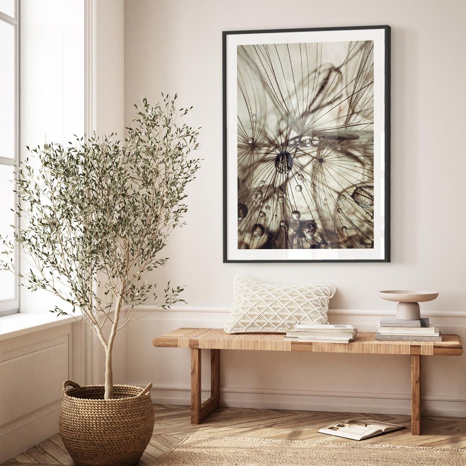 Plakat bez ramy 30x40 - Lekkie dmuchawce - dmuchawce, krople