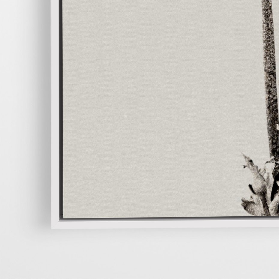 Obraz w ramie 50x70 - Kwiatowa Symfonia w Szarościach - czarno biała odbitka, jak fotografia - rama biała