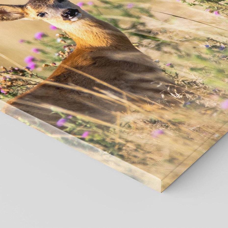 Obraz na płótnie 70x70 - Sarenka na malowniczej łące - sarna, sarenka