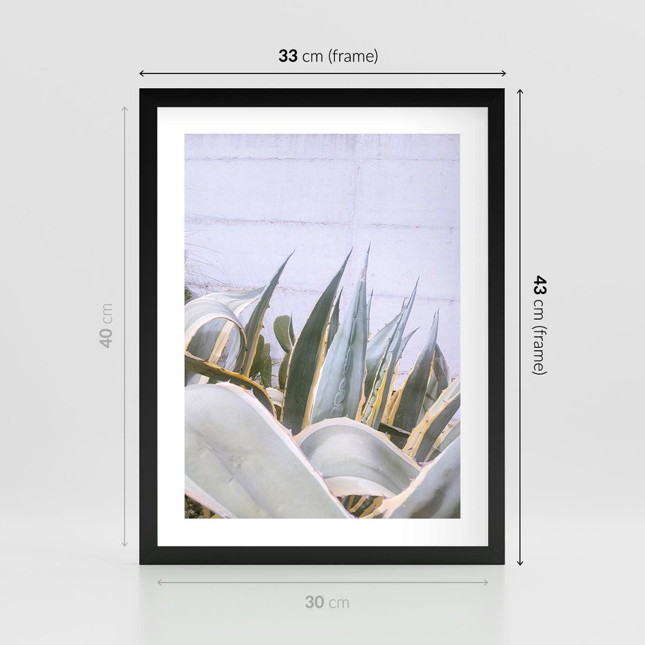 Plakat w ramie 30x40 - Sukulentowe liście - liście, sukulenty - rama czarna