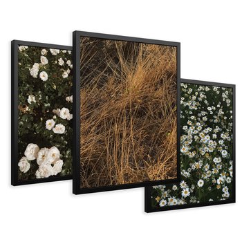 Zestaw obrazy w ramie 50x70 galeria - Boho, kwiaty, suche, trawy - rama czarna