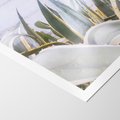 Plakat bez ramy 30x40 - Sukulentowe liście - liście, sukulenty