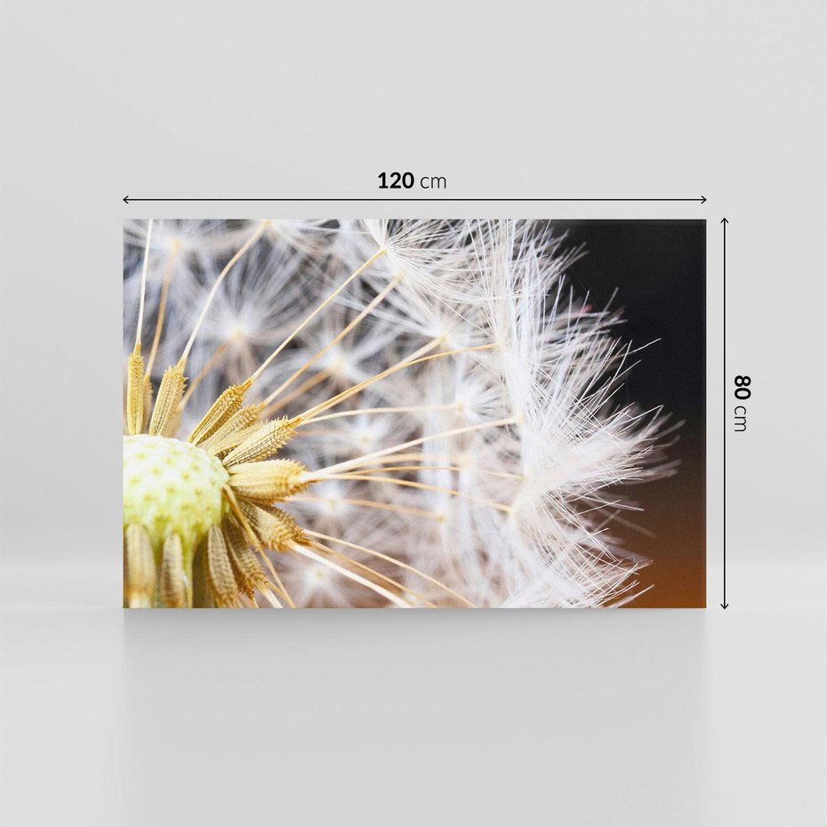 Obraz na płótnie 120x80 - Dmuchawiec: lekkość natury - dmuchawiec, natura