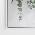Obraz w ramie 70x100 - Uwodzicielska zieleń eukaliptusa - eukaliptus, zielone - rama biała