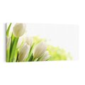 Obraz na płótnie 100x50 - delikatność kwiatów - tulipany, kwiat