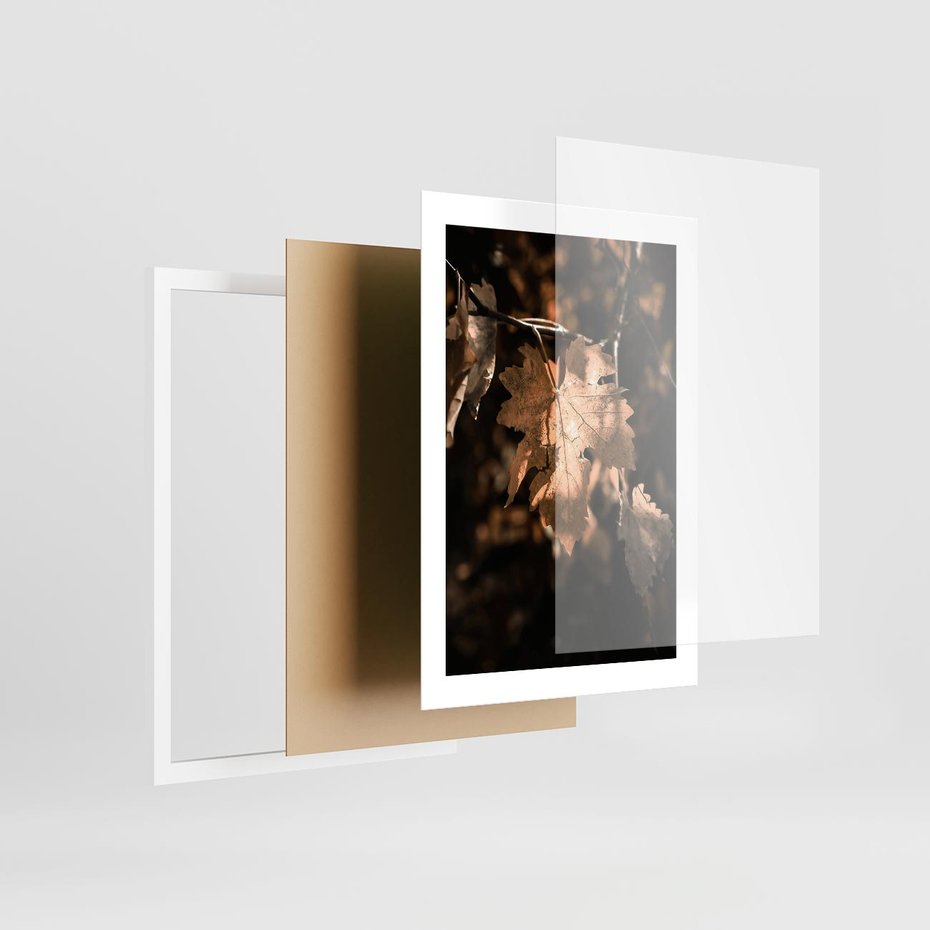 Plakat w ramie 30x40 - Uroczy Liść na Drzewie - jesienny liść, żółty liść na drzewie - rama biała