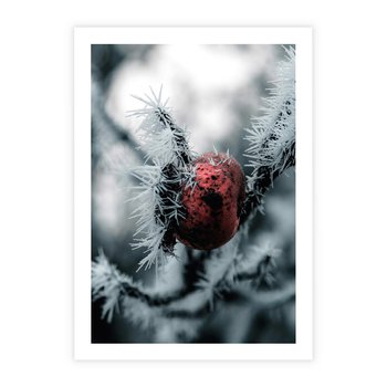 Plakat bez ramy 21x30 - Chwila Zimowego Uroku - zima, ośnieżona gałązka