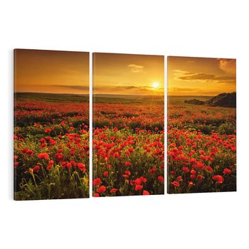 Obraz na płótnie 120x80 - Makowe uczucia - maki, kwiaty