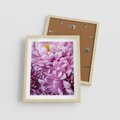Plakat w ramie 40x50 - Fioletowy zawrót głowy - kwiat, różowy kwiat - rama drewno