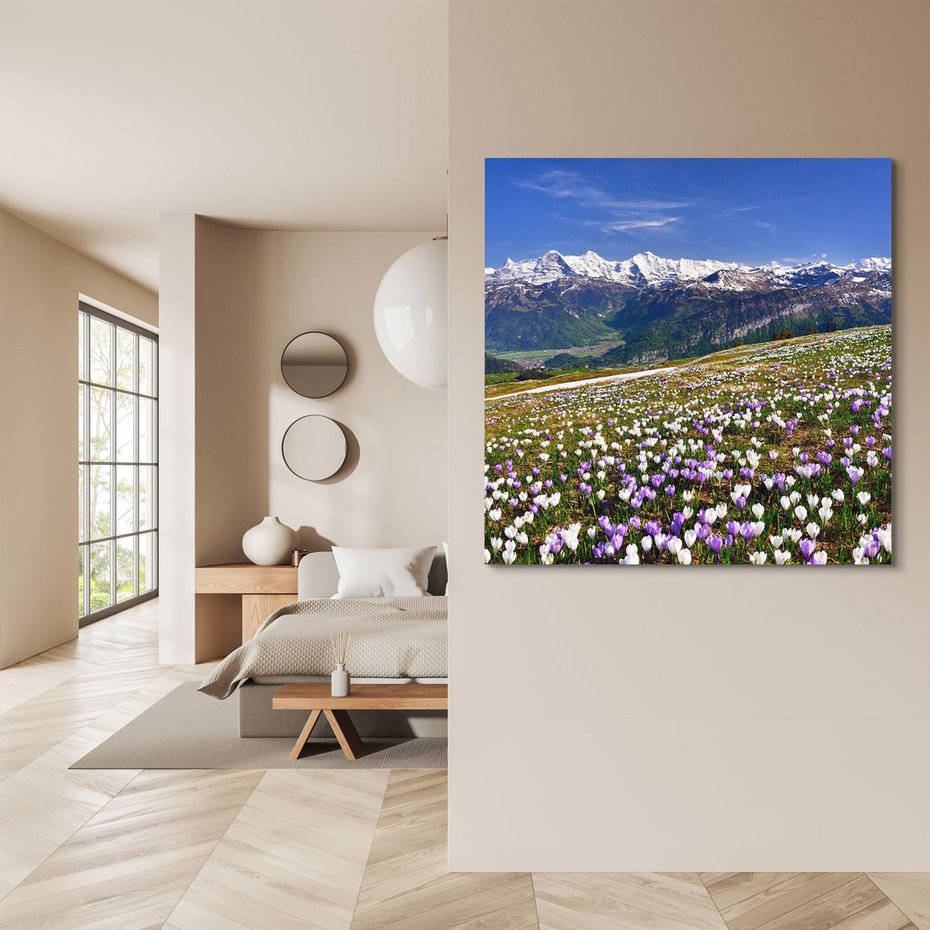 Obraz na płótnie 60x60 - Wiosenne Czarowanie - krokusy, góry