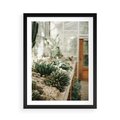 Plakat w ramie 50x70 - Sukulenty w Szklarni - sukulenty, w szklarni - rama czarna
