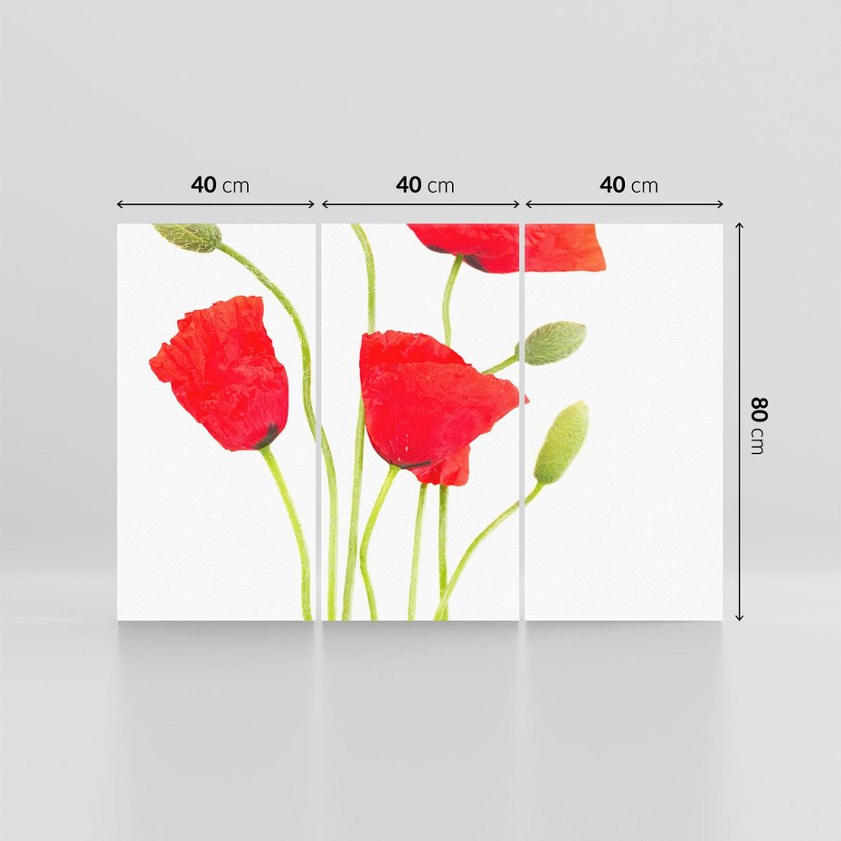 Obraz na płótnie 120x80 - Pola maków w pełnym kolorze - maki, kwiaty