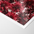 Plakat bez ramy 30x40 - Energia Kwiatów - czerwone kwiaty, kompozycja