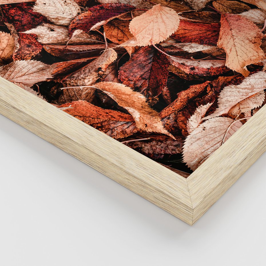 Zestaw obrazy w ramie 40x50 galeria - Jesienny, las, liście - rama drewno