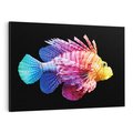 Obraz na płótnie 120x80 - Tęczowa Piękność - kolorowa tęczowa ryba, mocny akcent na czarnym tle