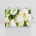 Obraz na płótnie 120x80 - Białe tulipany w pełnym rozkwicie - białe, tulipany