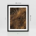 Plakat w ramie 40x50 - Szlachetna Suchość Traw - trawy, suche trawy - rama czarna