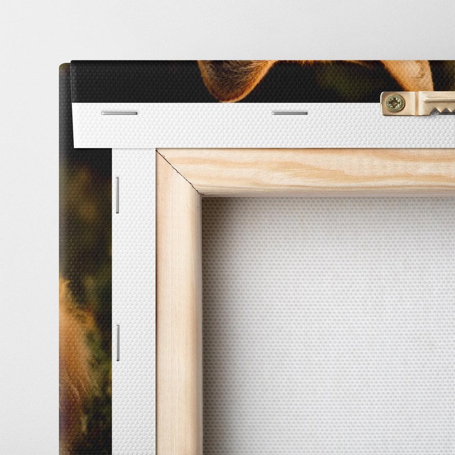 Obraz na płótnie 120x60 - Lisek w lesie - lis, lisek