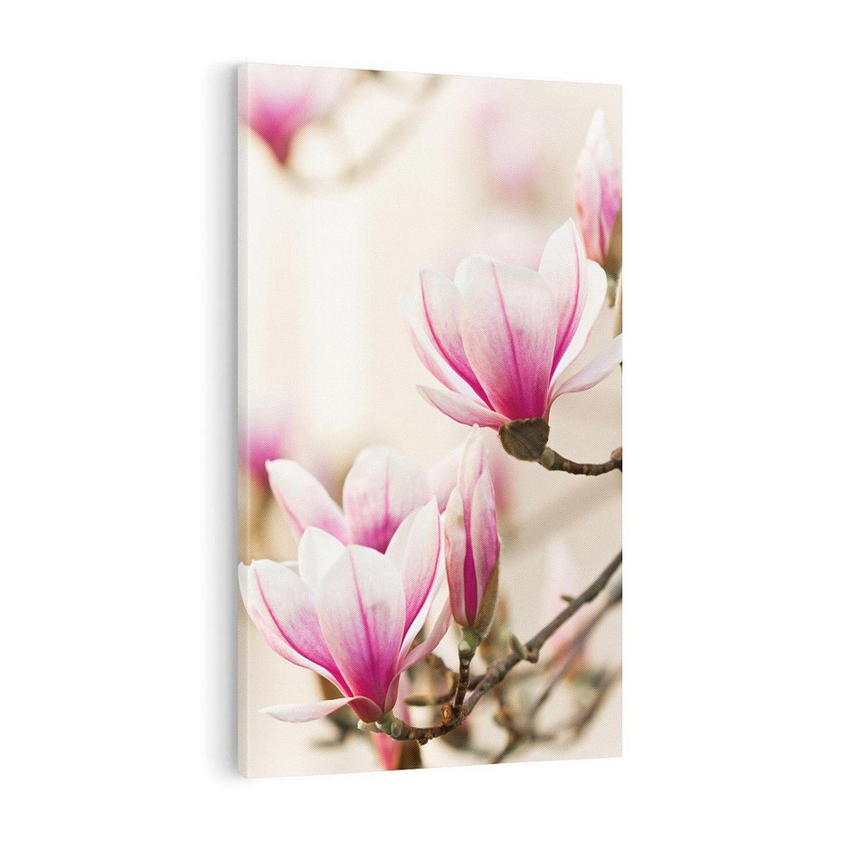Obraz na płótnie 80x120 - Urok Magnolii - magnolie, kwiaty