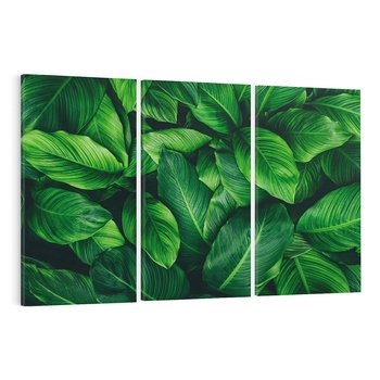 Obraz na płótnie 120x80 - Palma Liście Kwiat - palma, liście