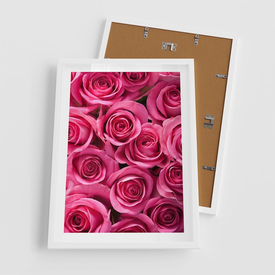 Plakat w ramie 50x70 - Romantyczne róże w pełnym rozkwicie - róże, kwiaty - rama biała