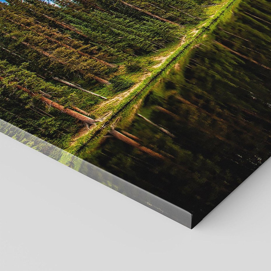 Obraz na płótnie 100x70 - Spokój nad jeziorem wśród lasu - las, jezioro