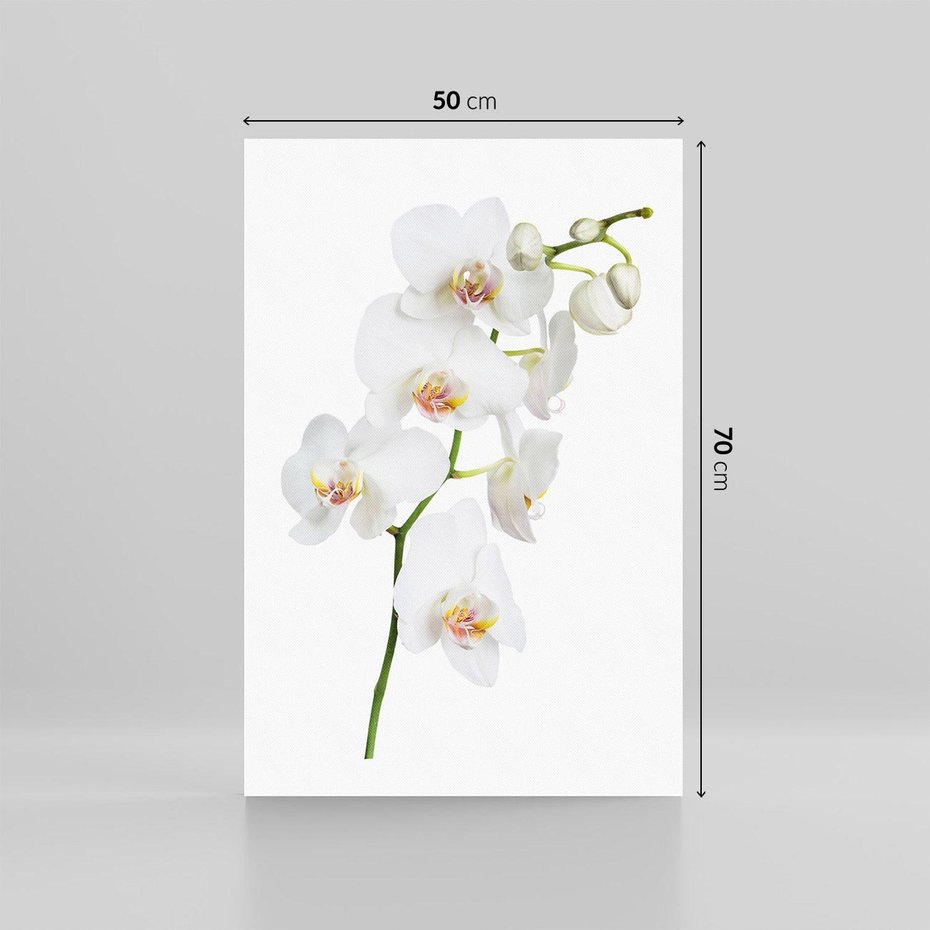 Obraz na płótnie 50x70 - Ekskluzywny Relaks - storczyk, spa