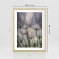 Plakat w ramie 30x40 - Makro dmuchawiec - piękno drobnych detali - dmuchawce, makro - rama drewno