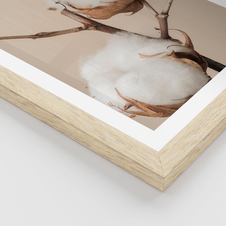 Plakat w ramie 50x70 - Bawełniana melancholia - bawełna, suche - rama drewno