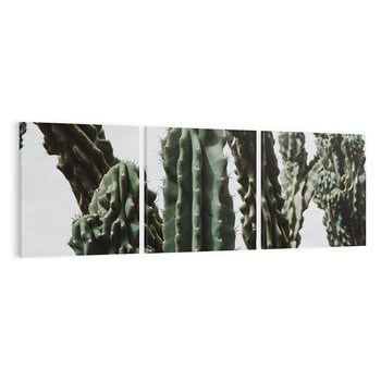 Obraz na płótnie 120x40 - Boho oaza wśród kaktusów - kaktusy, pustynia