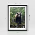 Plakat w ramie 30x40 - Spotkanie z Niedźwiedziem w Lesie - niedźwiedź, las - rama czarna