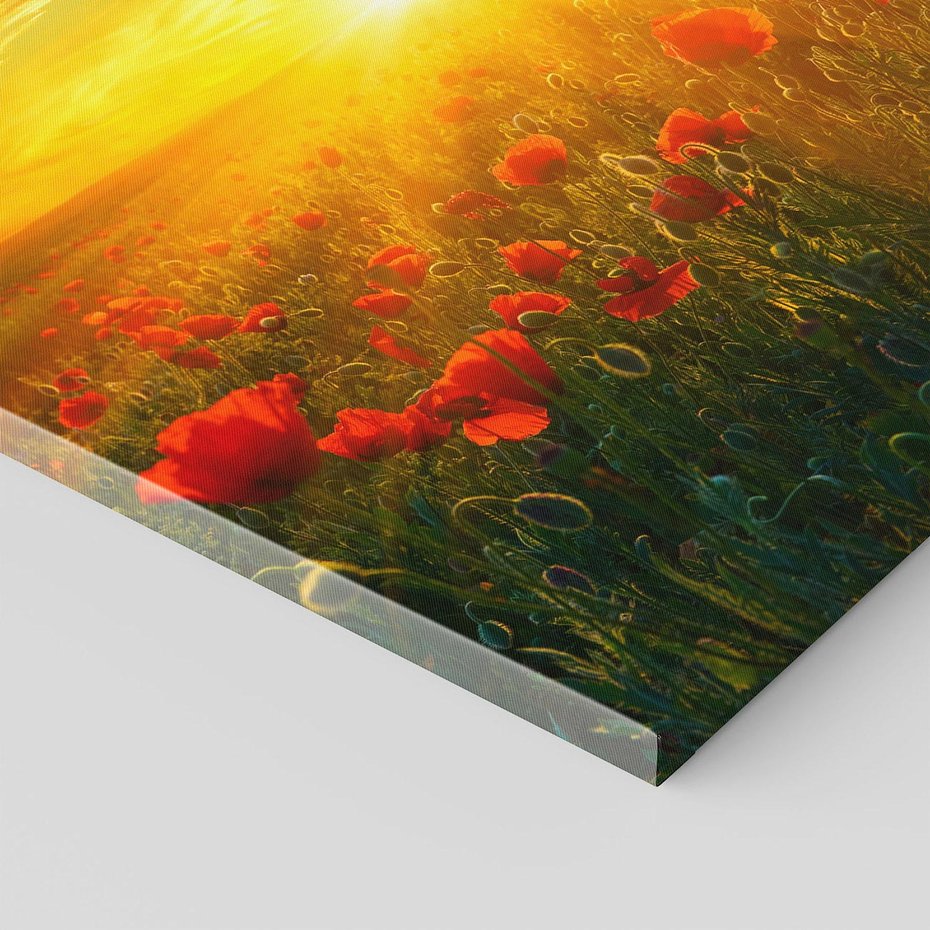 Obraz na płótnie 80x120 - Magia zachodu słońca na łące z makami - łąka, zachód słońca