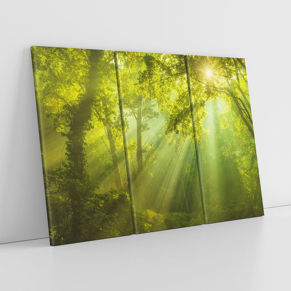 Obraz na płótnie 120x80 - drzewa w harmonii - las, drzewa