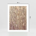 Plakat bez ramy 30x40 - Suche Trawy w Wyjątkowym Stylu - suche trawy, boho styl