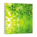 Obraz na płótnie 50x50 - Liście w Wodzie - liście, woda