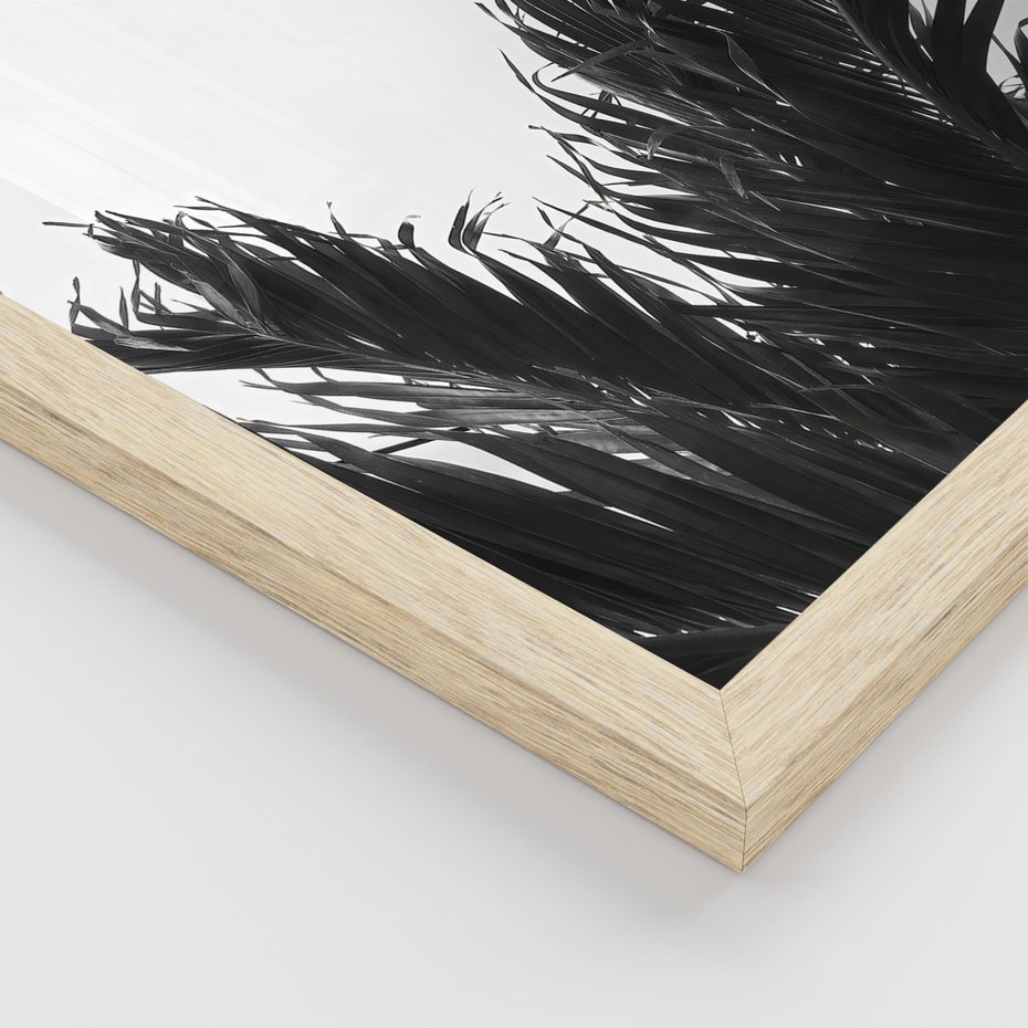 Zestaw obrazy w ramie 50x70 galeria - Palmy, tropiki, liście - rama drewno