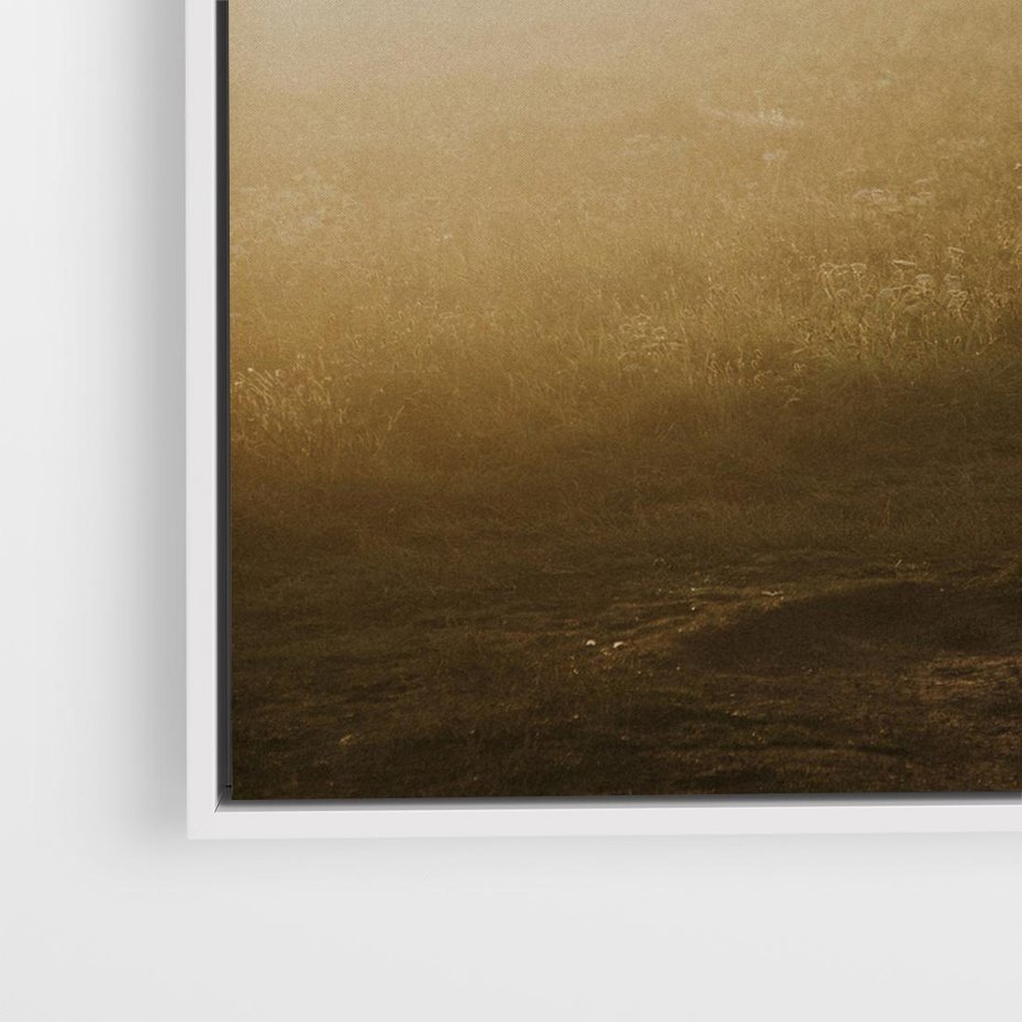 Obraz w ramie 50x50 - Mglisty zachód słońca na ławeczce - mgła, zachód - rama biała