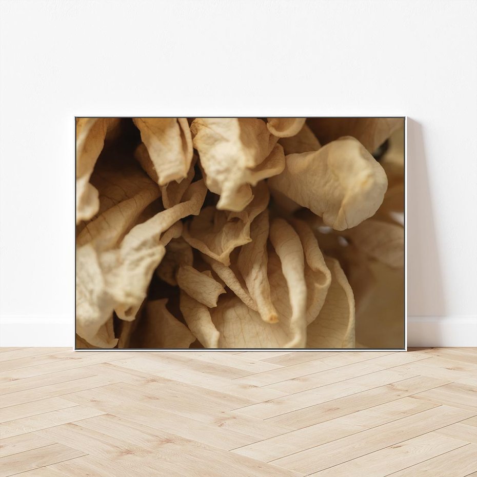 Obraz w ramie 120x80 - Zjawiskowe zasuszone kwiaty - zasuszone, kwiaty - rama biała