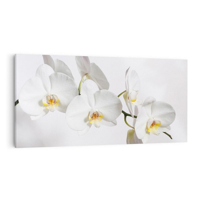 Obraz na płótnie 100x50 - Orchidea Kwiat - orchidea, kwiat