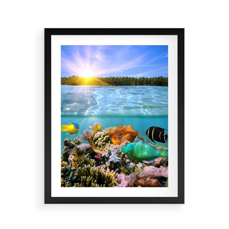 Plakat w ramie 40x50 - Rafa Koralowa - Podwodne Cuda - rafa, koralowa - rama czarna