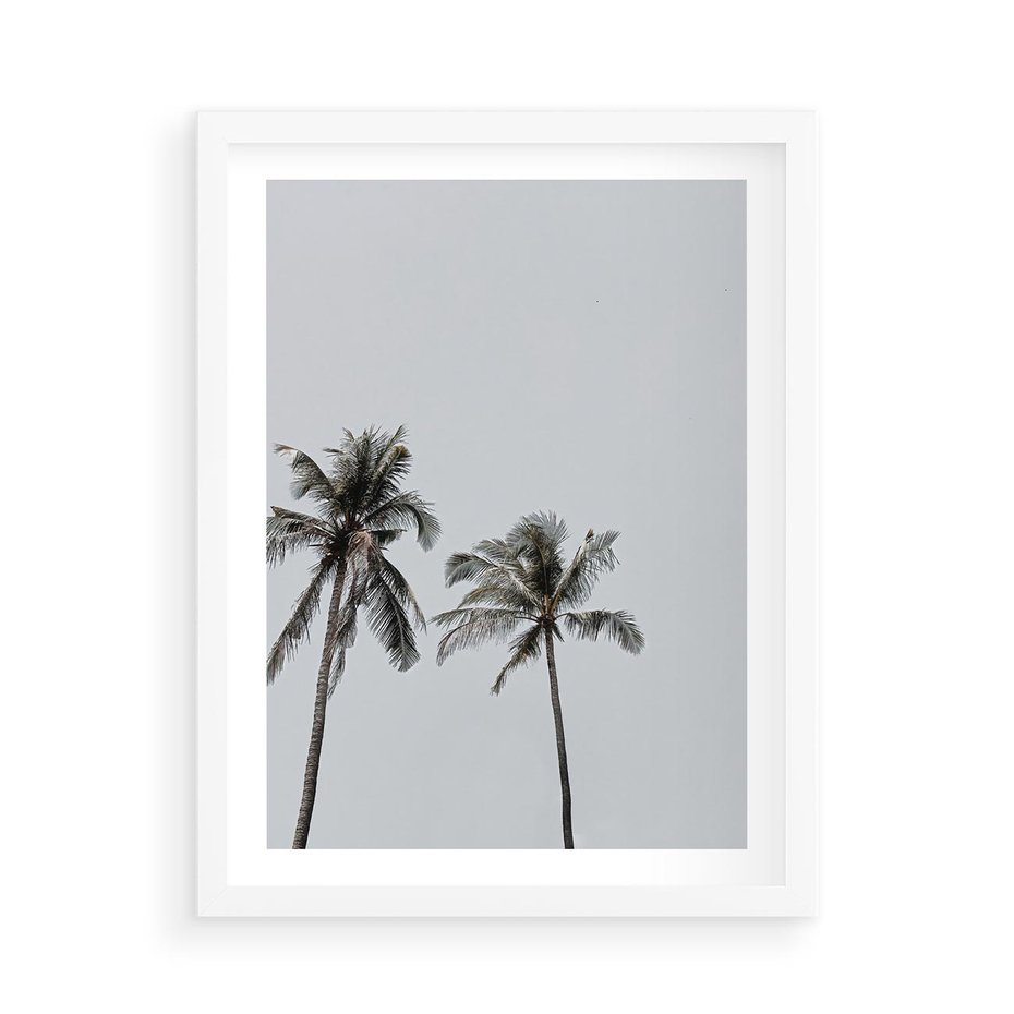Plakat w ramie 50x70 - Tropikalny Raj: Palmy i Niebo - palmy, niebo - rama biała