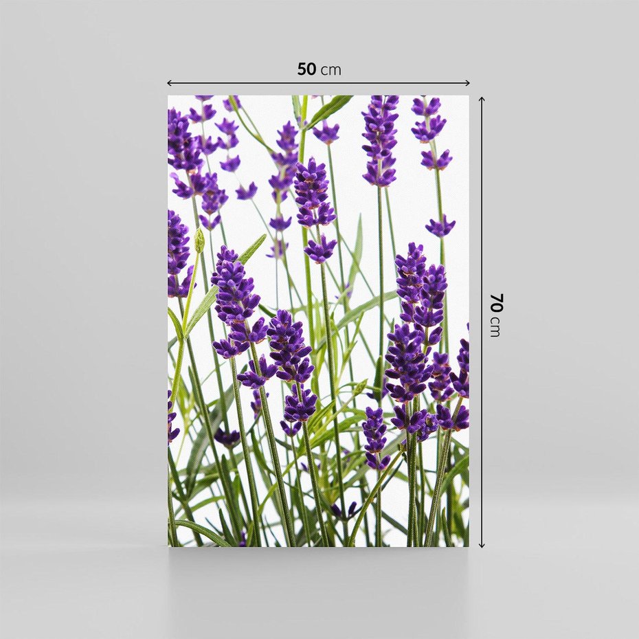 Obraz na płótnie 50x70 - Fioletowa harmonia lawendy - lawenda, fiolet