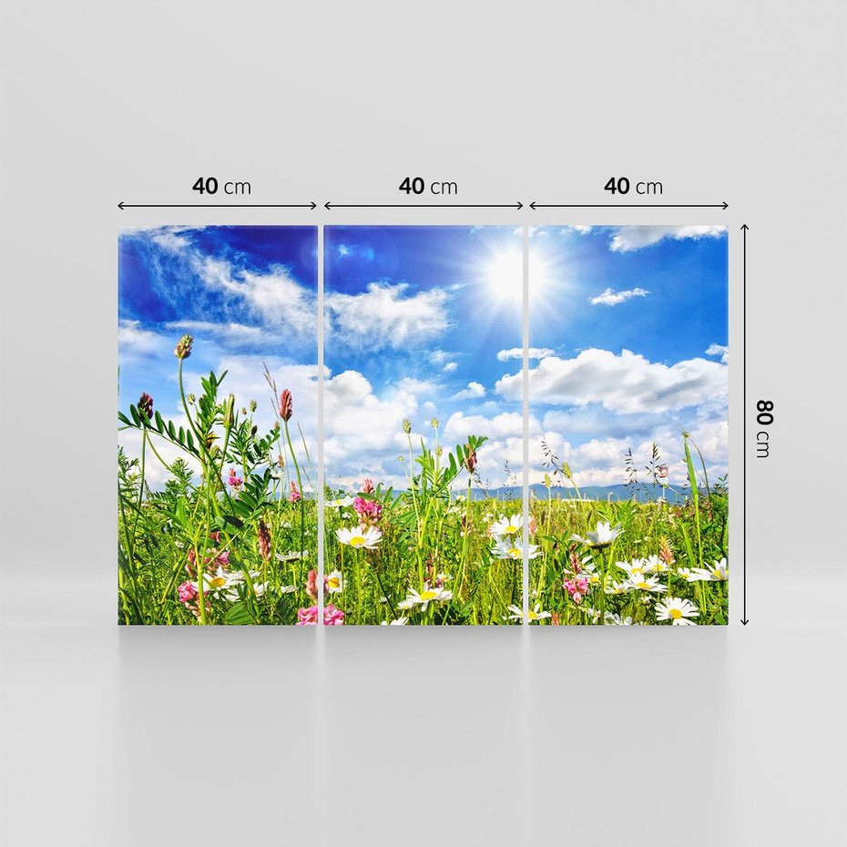 Obraz na płótnie 120x80 - Niebiańska łąka pełna kwiatów - łąka, niebo