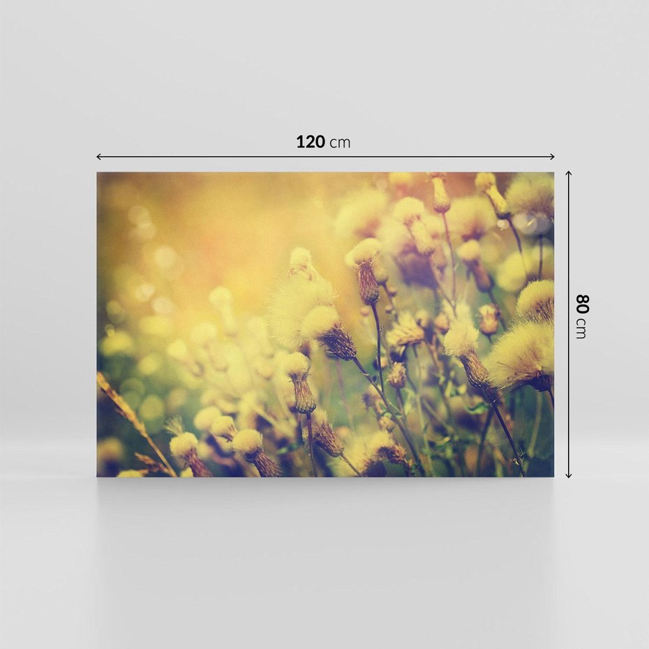 Obraz na płótnie 120x80 - Natura w pełnym rozkwicie - łąka, natura