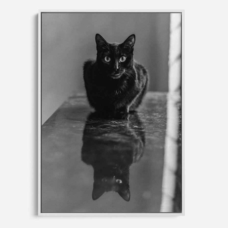 Obraz w ramie 70x100 - Kocie Oczy - kot, czarno białe zdjęcie - rama biała