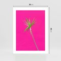 Plakat bez ramy 30x40 - Retro Stylizacja - palma, liście