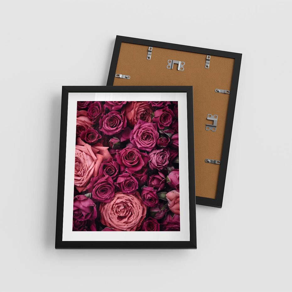 Plakat w ramie 40x50 - Róże - piękno kwiatów - róże, kwiaty - rama czarna